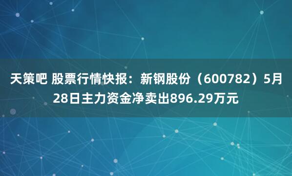 天策吧 股票行情快报：新钢股份（600782）5月28日主力资金净卖出896.29万元