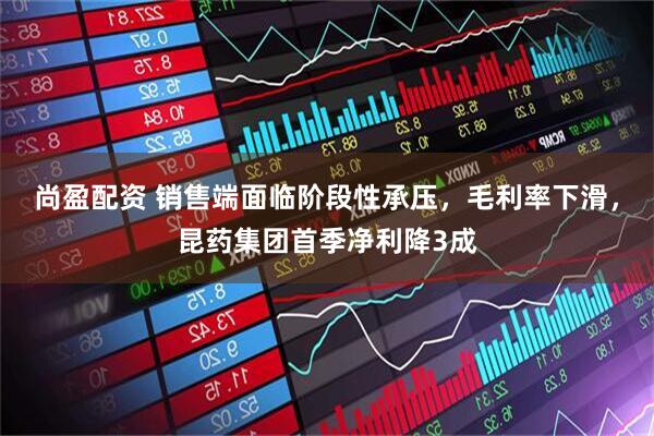 尚盈配资 销售端面临阶段性承压，毛利率下滑，昆药集团首季净利降3成