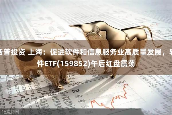 括普投资 上海：促进软件和信息服务业高质量发展，软件ETF(159852)午后红盘震荡