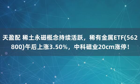 天盈配 稀土永磁概念持续活跃，稀有金属ETF(562800)午后上涨3.50%，中科磁业20cm涨停！
