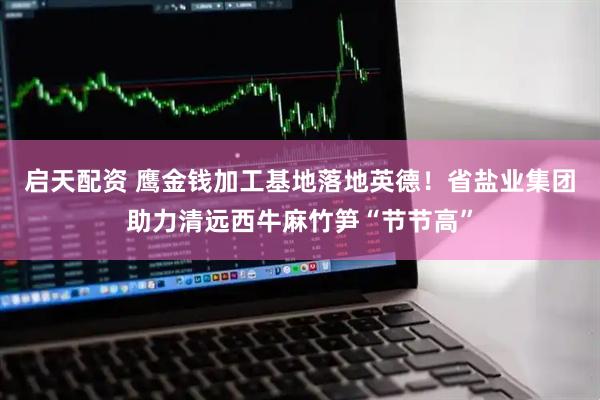 启天配资 鹰金钱加工基地落地英德！省盐业集团助力清远西牛麻竹笋“节节高”