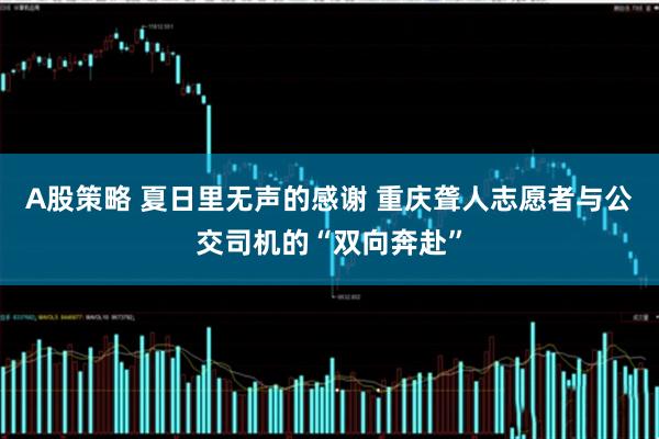 A股策略 夏日里无声的感谢 重庆聋人志愿者与公交司机的“双向奔赴”