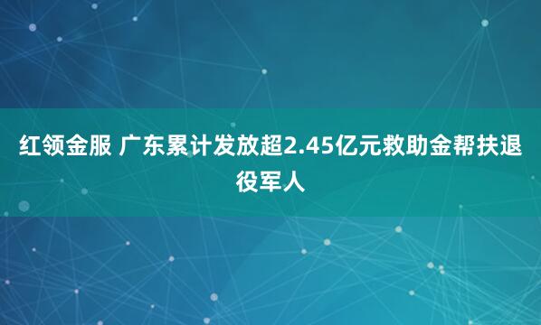 红领金服 广东累计发放超2.45亿元救助金帮扶退役军人