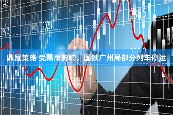 鼎冠策略 受暴雨影响，国铁广州局部分列车停运