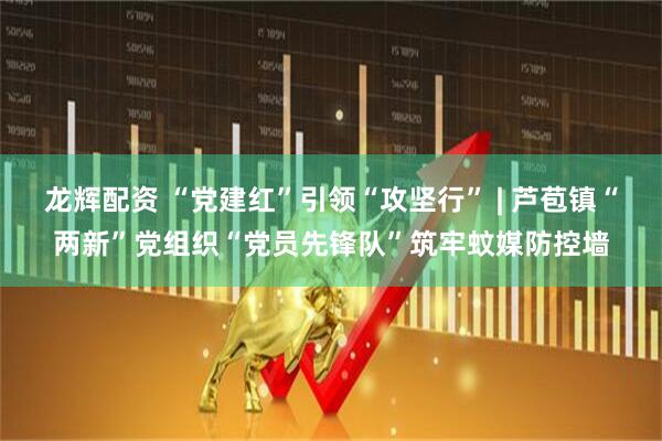 龙辉配资 “党建红”引领“攻坚行” | 芦苞镇“两新”党组织“党员先锋队”筑牢蚊媒防控墙