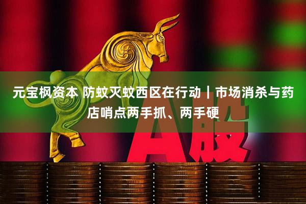 元宝枫资本 防蚊灭蚊西区在行动｜市场消杀与药店哨点两手抓、两手硬