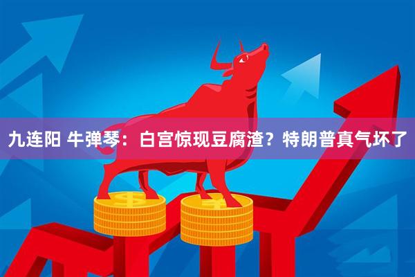 九连阳 牛弹琴：白宫惊现豆腐渣？特朗普真气坏了