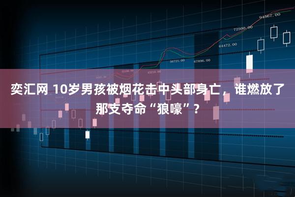奕汇网 10岁男孩被烟花击中头部身亡，谁燃放了那支夺命“狼嚎”？